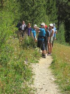 Hiking & Walking Tours in Denver/Golden